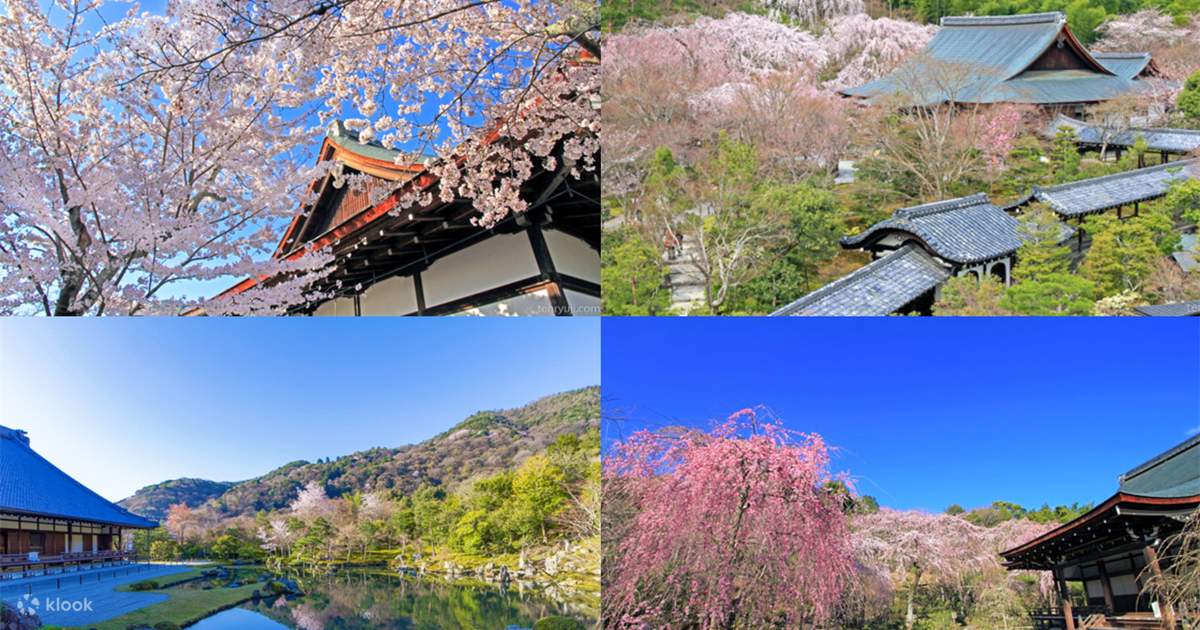 古都文化巡礼の旅：奈良東大寺・世界最大木造建築＋京都伏見稲荷大社